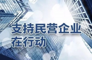 国务院出台28条意见关于支持民营企业改革发